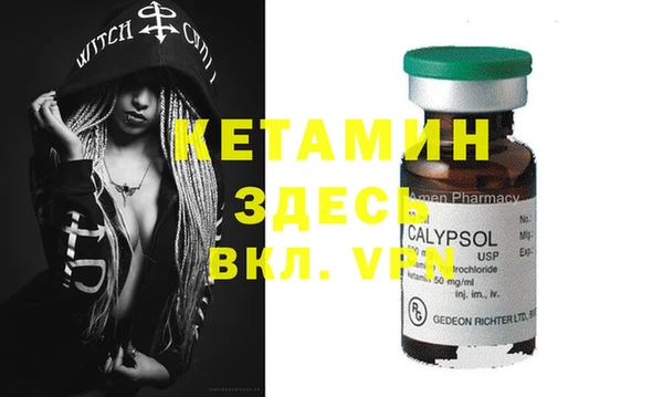 шишки Горняк