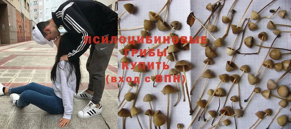 шишки Горняк
