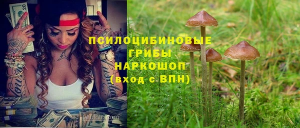 шишки Горняк