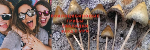 гидра Горнозаводск