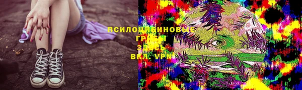 мяу мяу мука Горно-Алтайск