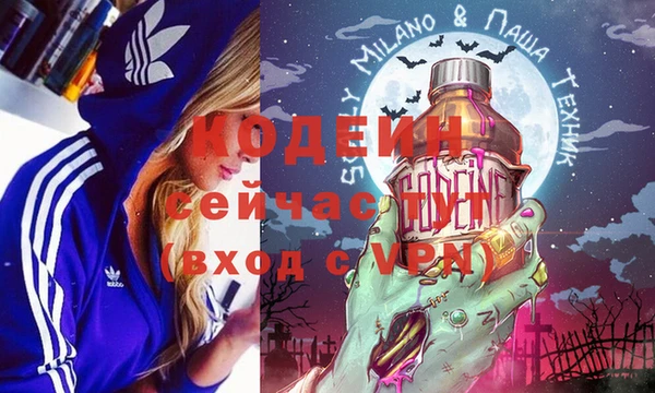шишки Горняк