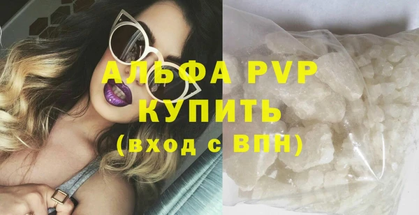 шишки Горняк
