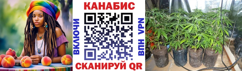 Купить  Лесозаводск  Бошки Шишки планчик 